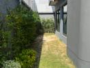 Narrow home side yard with lawn and shrubbery