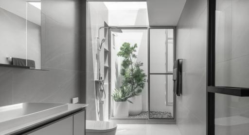 Modern bathroom interior with a glass shower and green plants