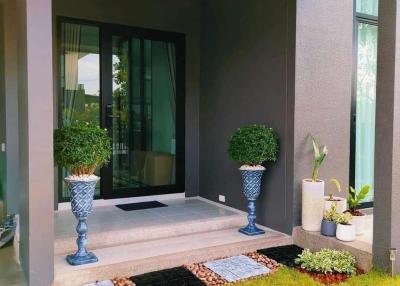 Elegant front entrance of a modern house with decorative plants