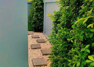 Stepping stone path through a lush garden