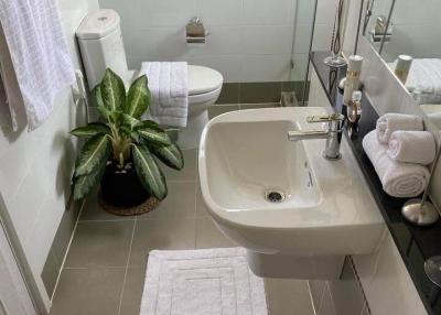 Modern bathroom with clean white fixtures and green plant decor
