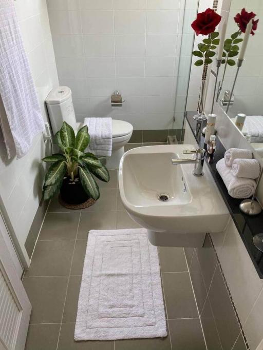 Modern bathroom with clean white fixtures and green plant decor