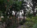 Lush garden with walkway and mature trees