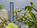 City skyline and river view from balcony with foliage