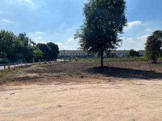 Empty residential lot ready for construction with a tree in the foreground and buildings in the background