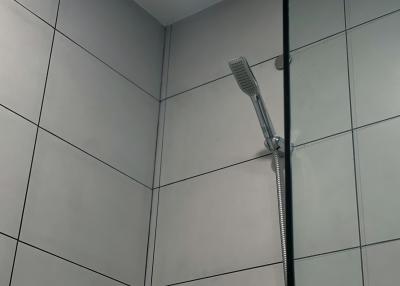 Modern shower head and tiling in bathroom