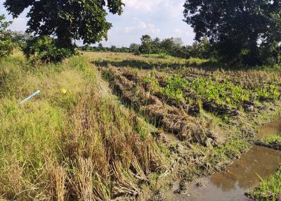 Rural landscape with agricultural land and water canal