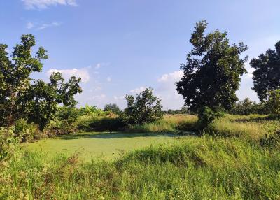 Scenic view of lush greenery and open land under a clear blue sky