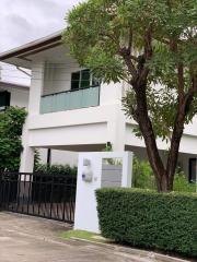 Modern two-story house with a large tree and gated entrance