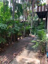 Tropical garden pathway with lush greenery