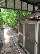 Abandoned structure with overgrown plants in an outdoor area