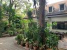 Serene garden with mature trees adjacent to a house