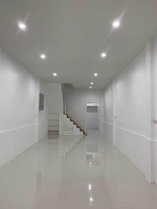 Modern home interior of a bright and spacious hallway with staircase