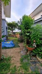 Peaceful home garden with lush greenery and outdoor seating area