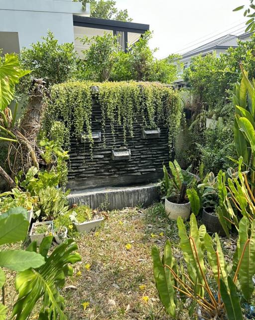 Lush green garden with a decorative water feature