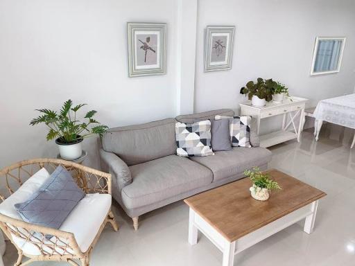 Bright and tidy living room with modern furniture and decorative plants