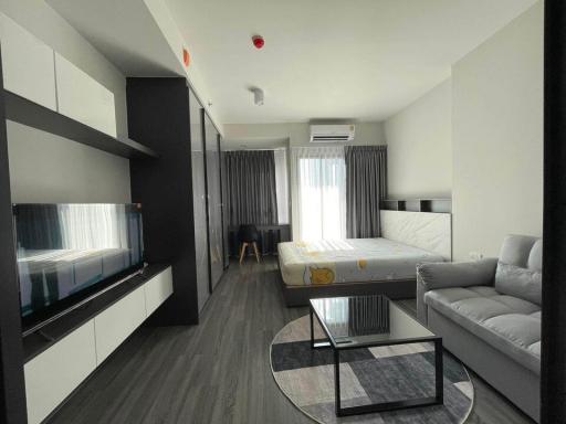 Modern bedroom with a comfortable bed, sofa, and entertainment unit