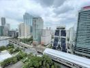 Panoramic city view from high-rise building