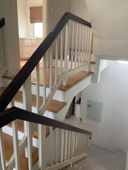 Wooden staircase with white bannister inside a home