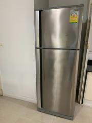 Stainless steel refrigerator in modern kitchen setting