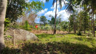 Natural landscape with greenery and palm trees