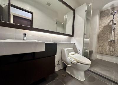 Modern bathroom with walk-in shower and large mirror