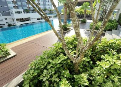 Lush greenery surrounding a communal swimming pool in a residential complex