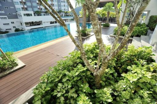 Lush greenery surrounding a communal swimming pool in a residential complex