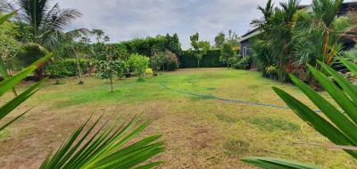 Spacious backyard garden with lush greenery and lawn