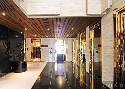 Elegant and Modern Building Lobby Interior