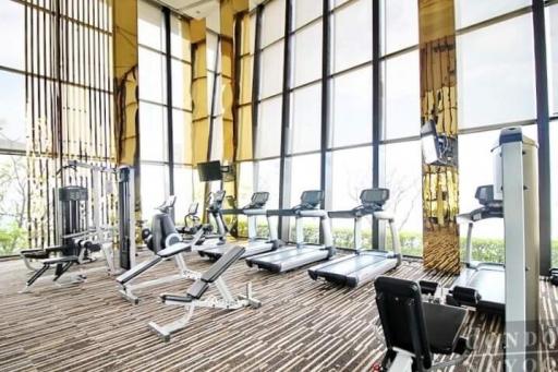 Modern gym in a residential building with large windows and a variety of equipment