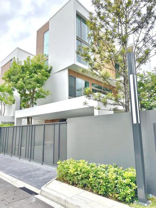 Condo for Rent at VIVE Rama 9