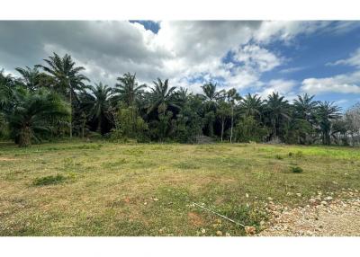 1,600 Sqm. Land listed for ฿2,000,000.