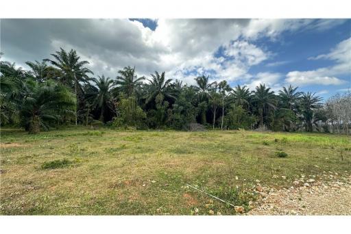 Land for Sale in Nhong Thale Krabi - 920281012-54