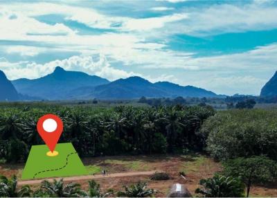 1,600 Sqm. Land listed for ฿ 2,000,000.