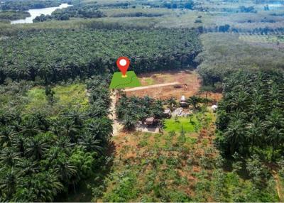 1,600 Sqm. Land listed for ฿ 2,000,000.