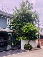 For Rent Bangkok Single House Yothin Phatthana Bang Kapi