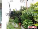 Side yard with greenery and walkway by a residential building