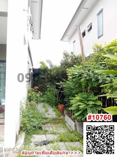 Side yard with greenery and walkway by a residential building
