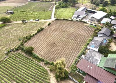 Aerial view of agricultural land and surrounding buildings