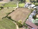 Aerial view of agricultural land and surrounding buildings