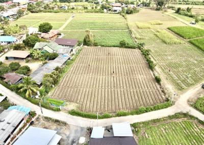 Aerial view of farmland with surrounding greenery and buildings