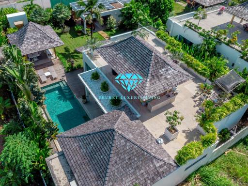 Aerial view of a luxurious private villa with a swimming pool