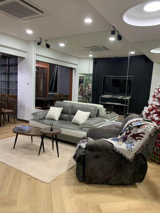 Modern living room interior with comfortable sofa and Christmas tree