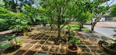 Spacious garden with well-maintained plants and trees