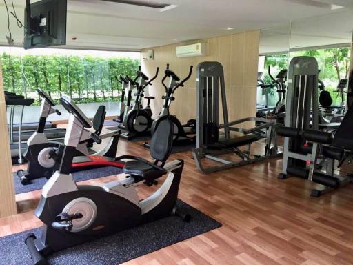 Modern in-house gym with various exercise equipment