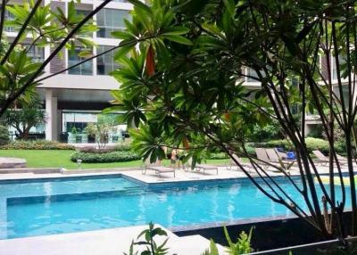 Residential pool surrounded by lush greenery