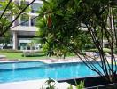 Residential pool surrounded by lush greenery