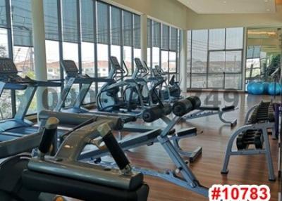 Indoor gym with cardio machines and floor-to-ceiling windows