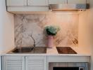 Compact modern kitchen with marble backsplash and stainless steel sink